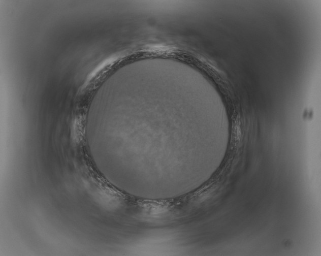 X0000111581254200908271027