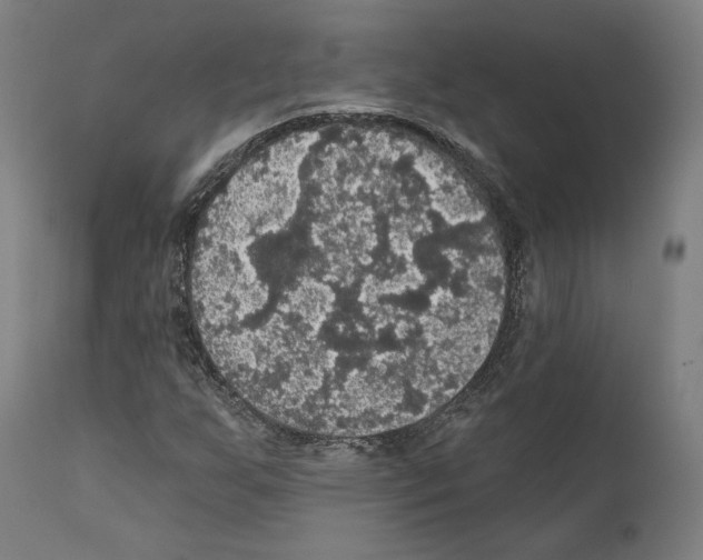 X0000111581255200908271027