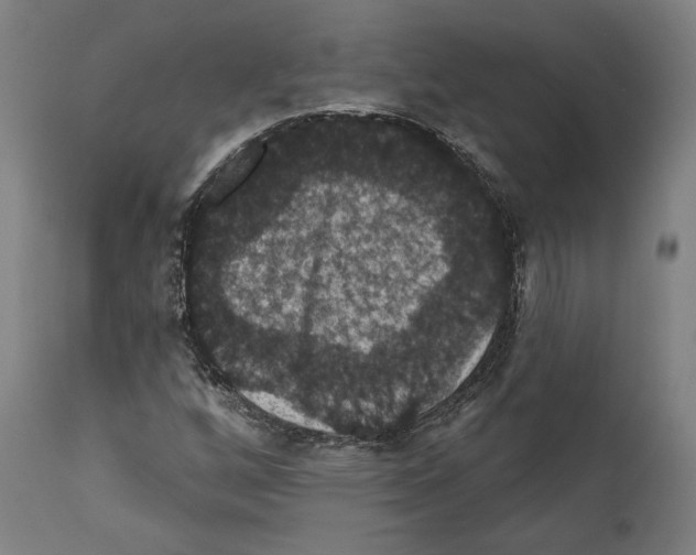 X0000111581256200908271027