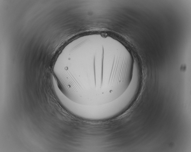 X0000111581257200908271027