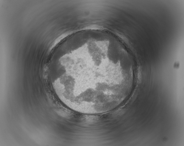 X0000111581258200908271027