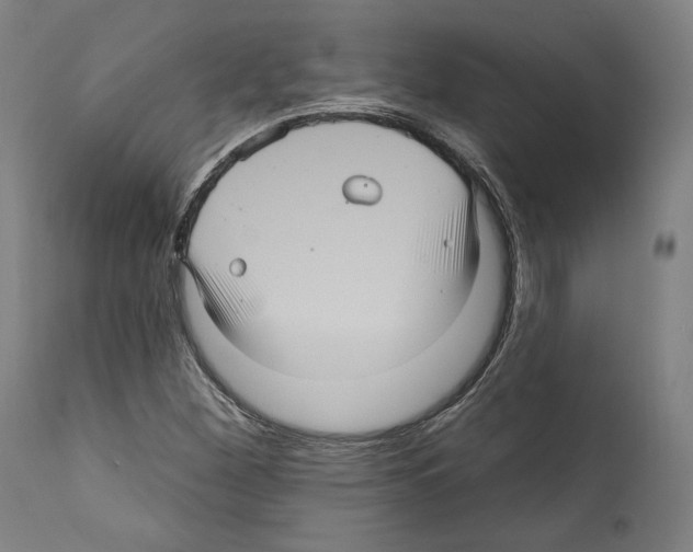 X0000111581260200908271027