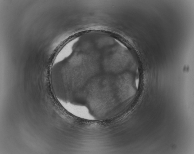 X0000111581263200908271027