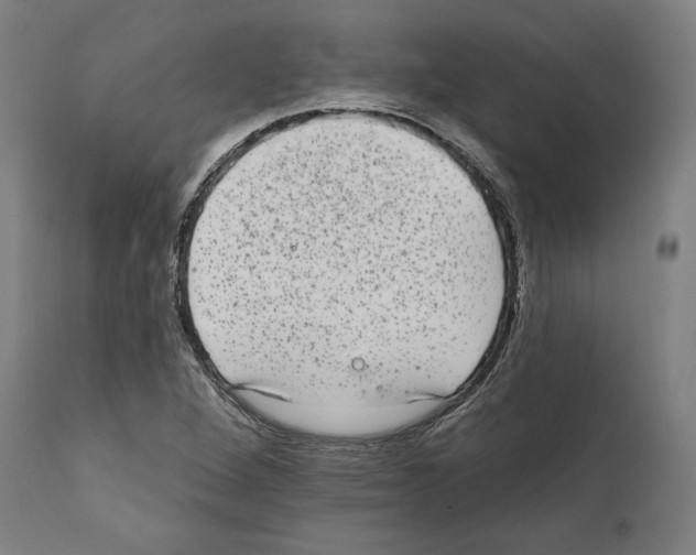 X0000111581264200908271027