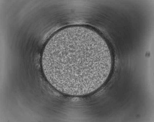 X0000111581265200908271027