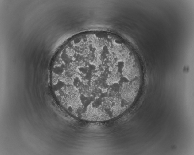 X0000111581267200908271027