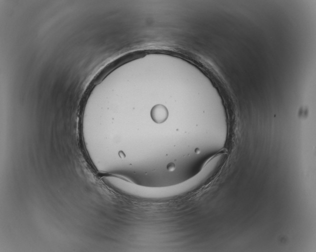 X0000111581268200908271027