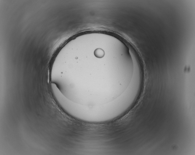 X0000111581269200908271027