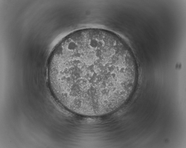 X0000111581271200908271027