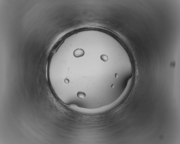 X0000111581272200908271027