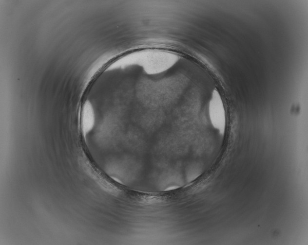 X0000111581275200908271027