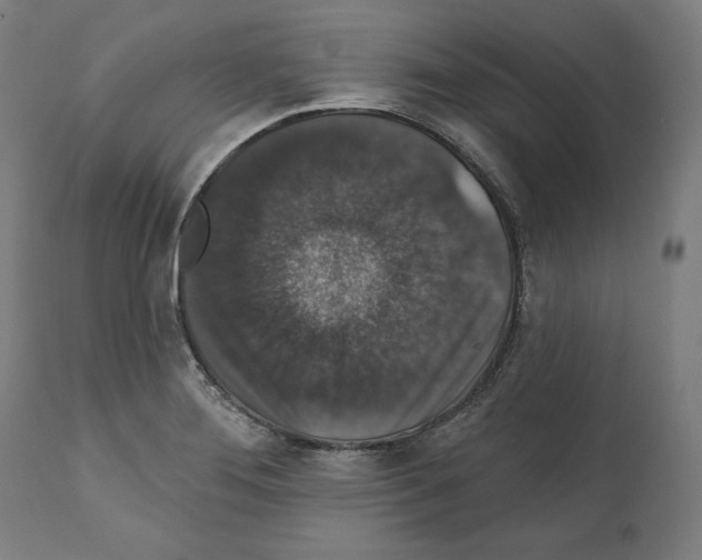 X0000111581276200908271027