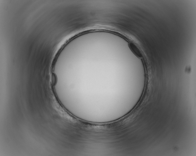 X0000111581280200908271027