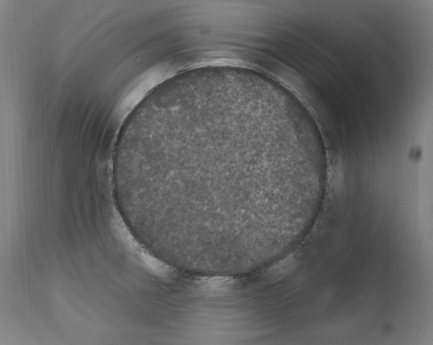 X0000111581282200908271027