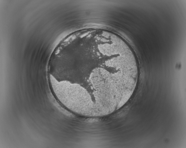 X0000111581283200908271027