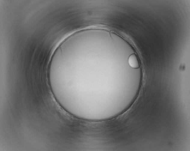 X0000111581284200908271027