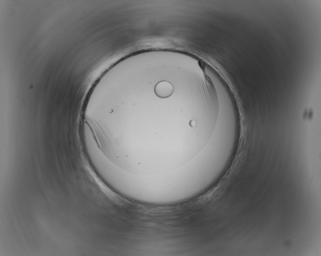 X0000111581285200908271027