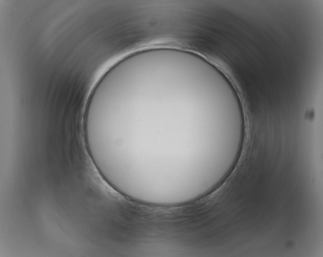 X0000111581288200908271027