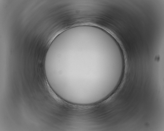 X0000111581289200908271027