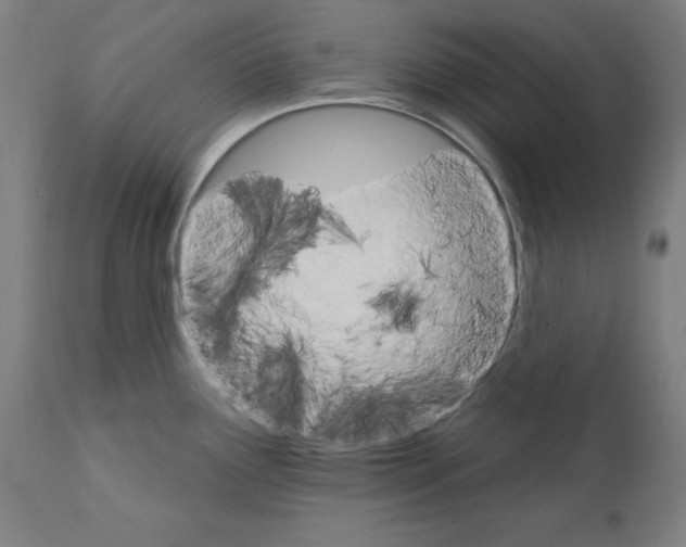 X0000111581291200908271027