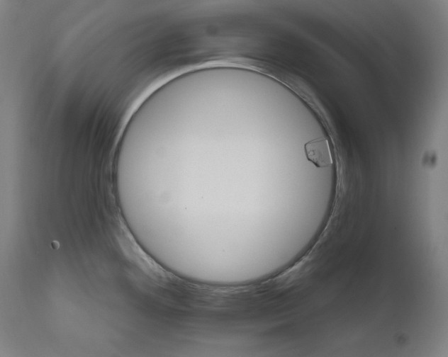 X0000111581292200908271027