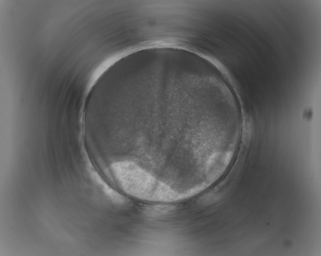 X0000111581294200908271027