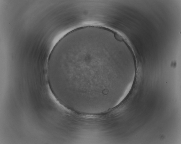 X0000111581295200908271027