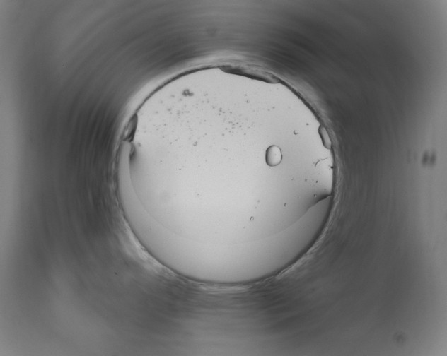 X0000111581296200908271027