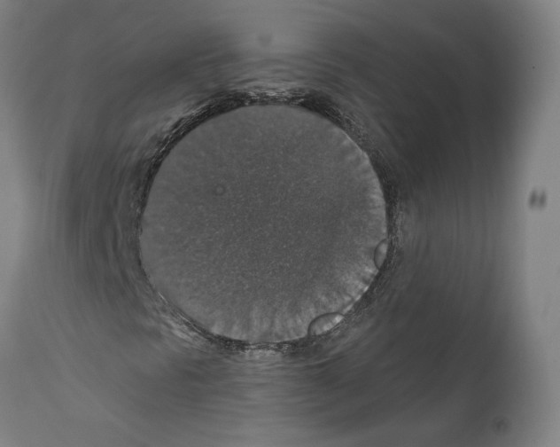 X0000111581297200908271026