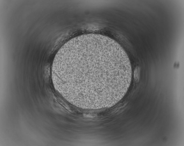 X0000111581299200908271026