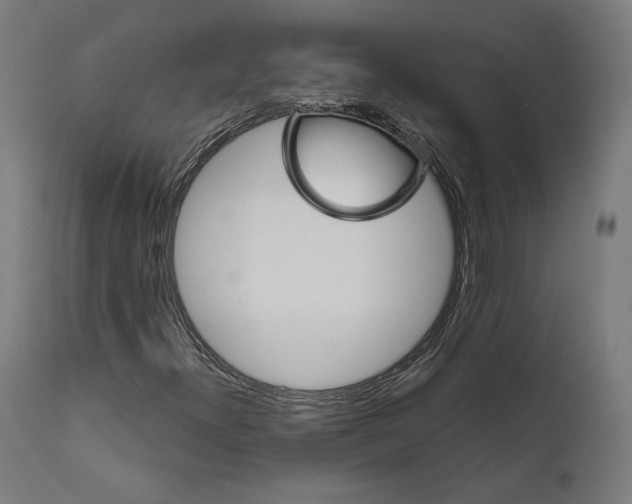 X0000111581300200908271026