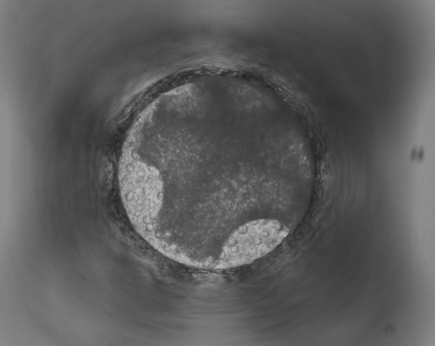 X0000111581302200908271026