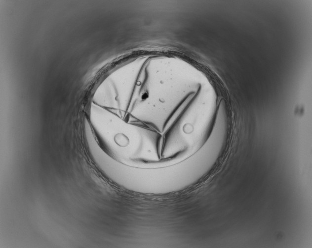 X0000111581304200908271026