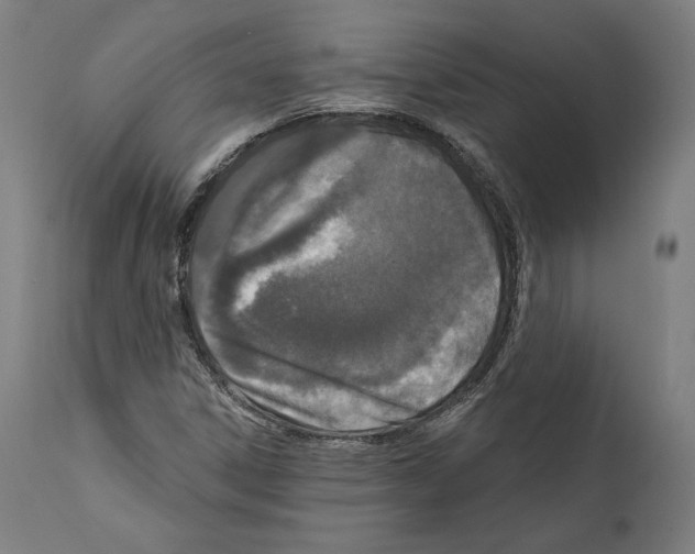 X0000111581306200908271026