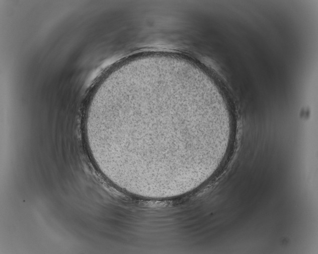 X0000111581307200908271026