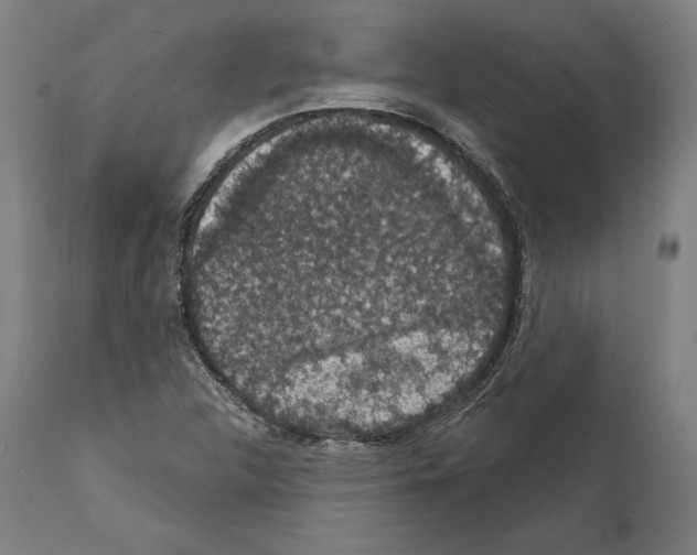 X0000111581312200908271026