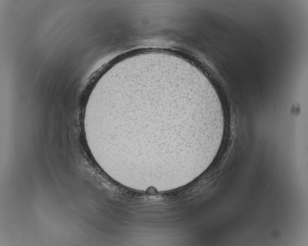 X0000111581315200908271026