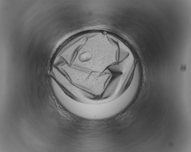 X0000111581316200908271026