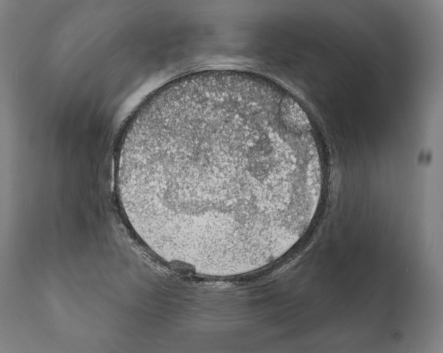 X0000111581317200908271026