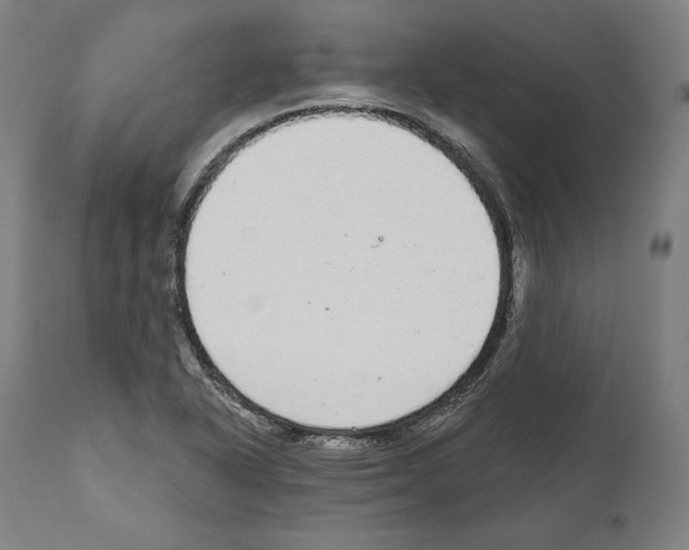 X0000111581318200908271026