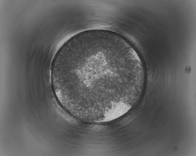 X0000111581324200908271026