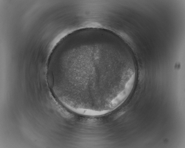 X0000111581326200908271026