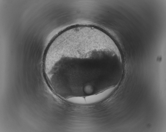 X0000111581327200908271026