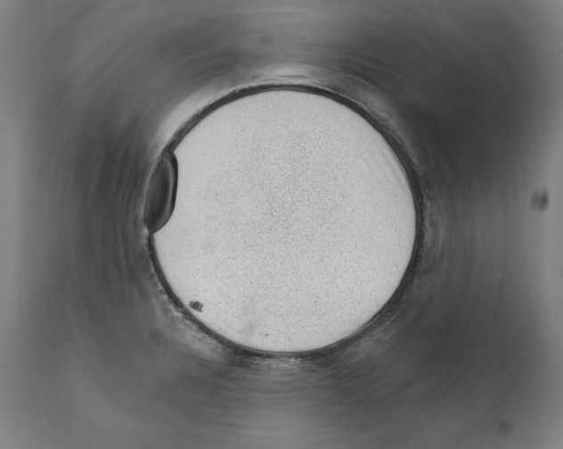 X0000111581328200908271026