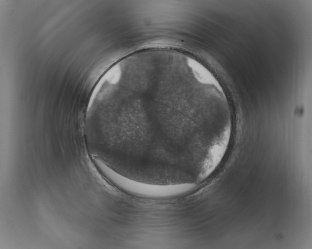 X0000111581329200908271026