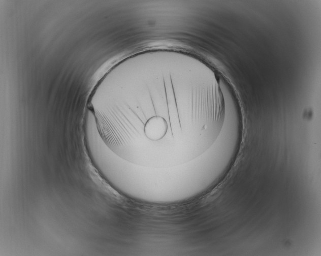 X0000111581330200908271026