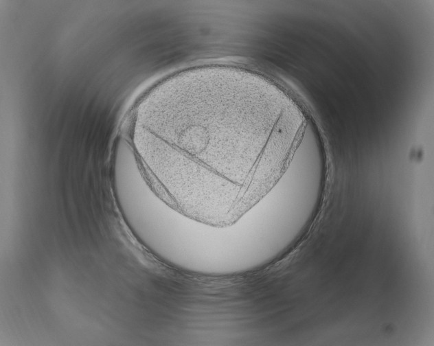 X0000111581332200908271026