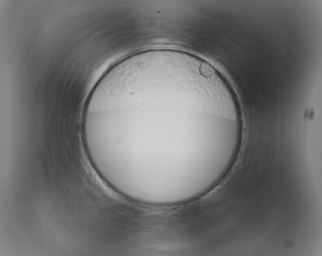 X0000111581333200908271026