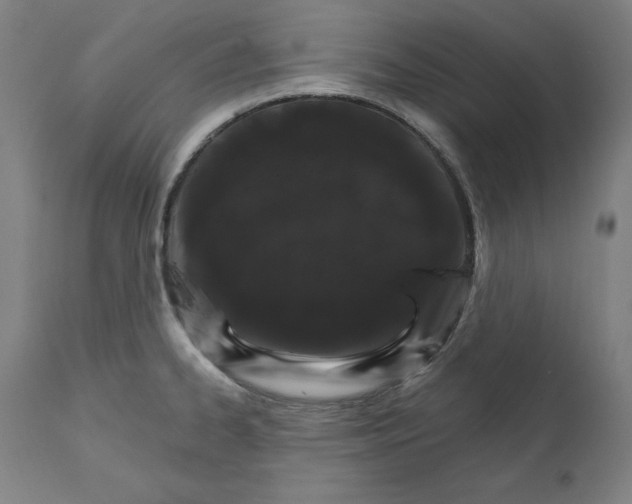 X0000111581334200908271026