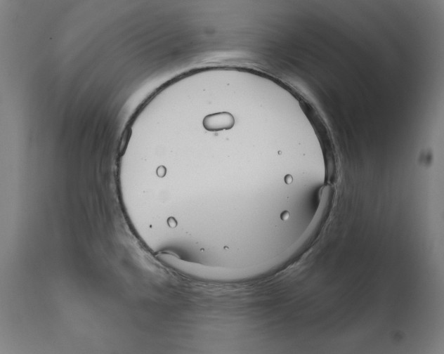 X0000111581336200908271026